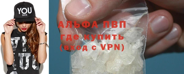 стафф Новозыбков