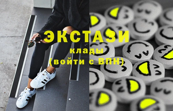 стафф Новозыбков