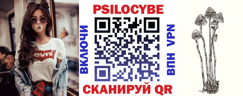 Галлюциногенные грибы Cubensis  Купить закладки  Любань 
